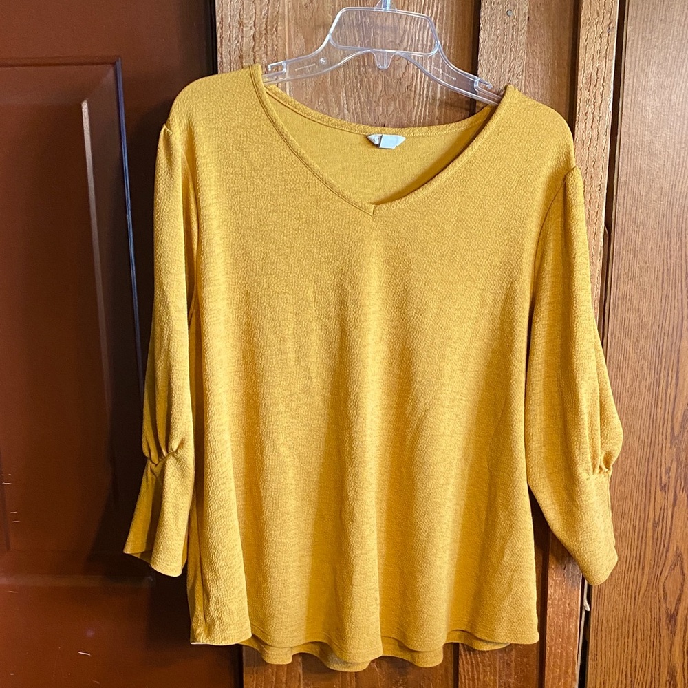 Women's Mustard V-Neck 3/4 Sleeve Knit Top
